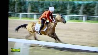 Symbolic race to support Akhal Teke Horse breeding and equine sports in Turkmenistan