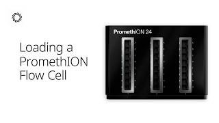 How do I load a PromethION Flow Cell? Profile