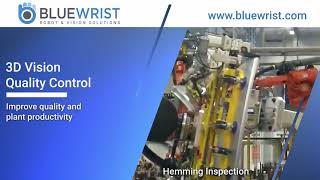 3D Vision Hemming Inspection