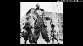DMX, The Lox, Eve - Bring It Back ft. Method Man & Redman, Snoop Dogg (Music Audio) | 2024
