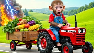 الليلة الأولى ليالي الامتحان الأخيرة ثالثة ثانوي ٢٠٢٥ مع أ محمد صلاح