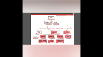 Quem foi considerado o pai da Farmácia e porquê e qual foi a importância do período renascentista para a evolução da anatomia?