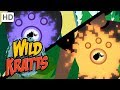 Wild Kratts 💥 Activate All Season 5 Creature Powers! | Kids Videos