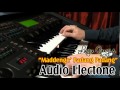 Audio Electone Bugis - Maddenge Padang Padang