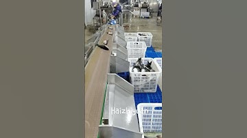 Fish weight sorting machine #food #seafoodprocessing #fishing #seafood #equipment