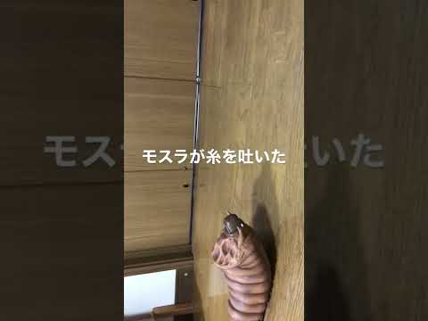 モスラ Youtube