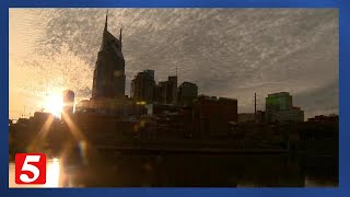 Celebrity Tennessee GOP pushes sweeping 2026 immigration bills, setting up legal test Net Worth