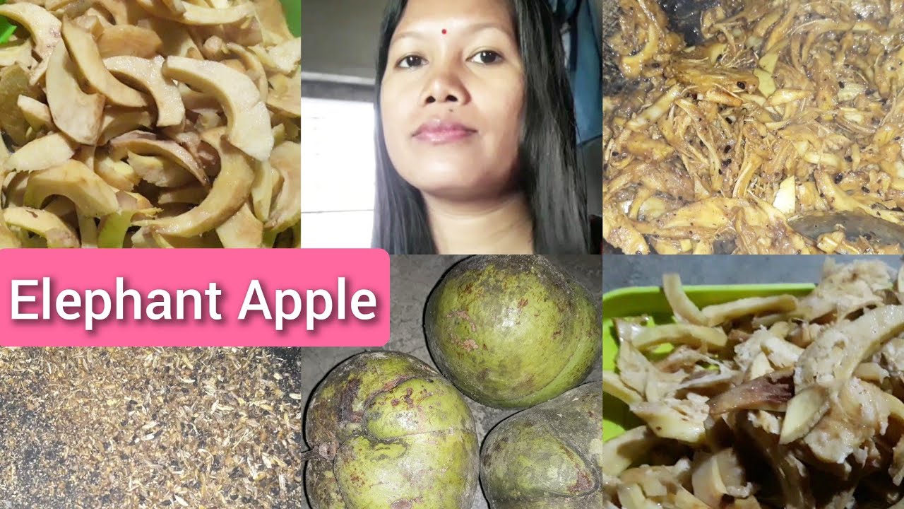 Elephant Apple Recipe 🌱anaishaofficial2053 Vlog YouTube