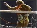 Hulk Hogan vs. Masked Superstar 2-18-1984