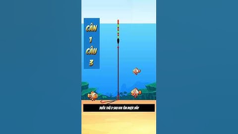 cách cân phao câu cá chép - cân 1 câu 3 #fishing #luoidanhcaadau #cauca
