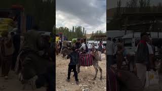 Яккабог Самог Бозори.