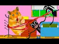 🐹 Hamster escapes the Cartoon CAT Maze! 😲 Real life CAT traps for hamster