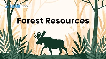 Forest Resources