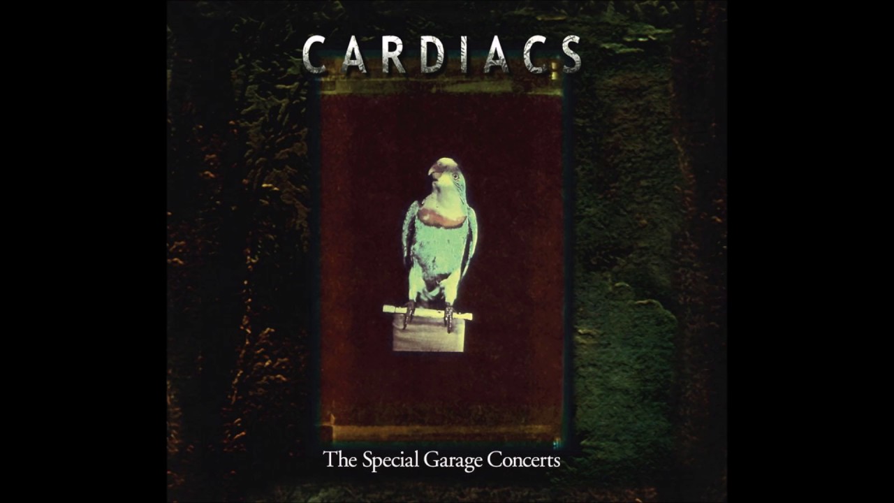 Watch Cardiacs - My Trade Mark (Live 2003) on YouTube Watch Cardiacs - My Trade Mark (Live 2003) on YouTube