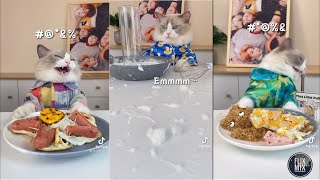 Chef cat kitchen disaster | tiktok compilation