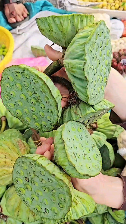 Buah Teratai Yang Sering Di Temui Di Sawah #teratai #fruits