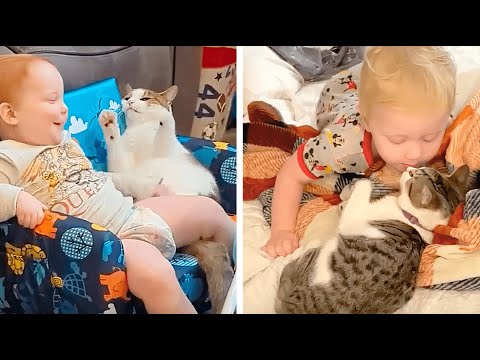 The Greatest and Funniest Moments of Kids and Animals