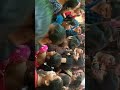 nagin dance song