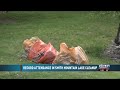 Community Participates in Smith Mountain Lake Cleanup Day