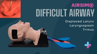 AirSim® Difficult Airway | Advanced Difficult Airway Management Training Manikin