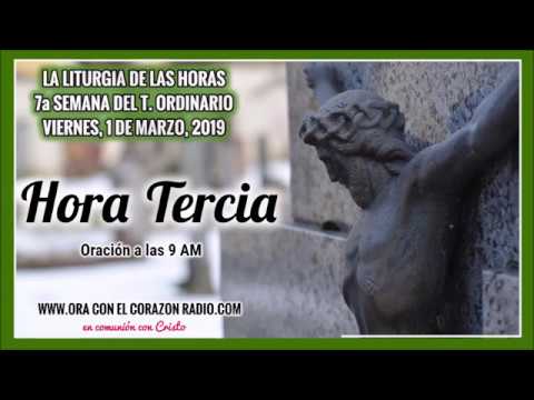 HORA TERCIA- ORACION A LAS 9 AM – VIERNES 1º DE MARZO, 2019 7ª SEMANA DEL TIEMPO ORDINARIO liturgia de las horas online