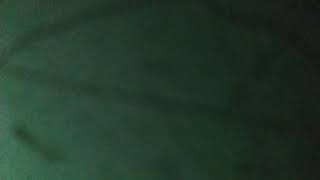 Işıl Işıl Her Yer Sanki Pavyon