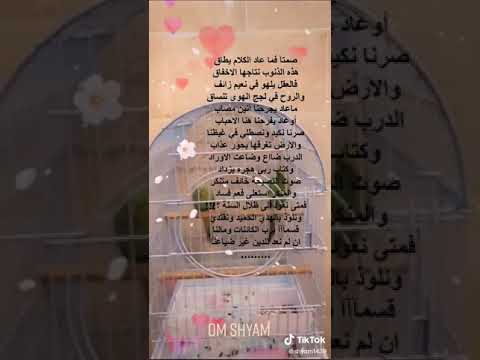 صمت ا فما عاد الكلام يطاق