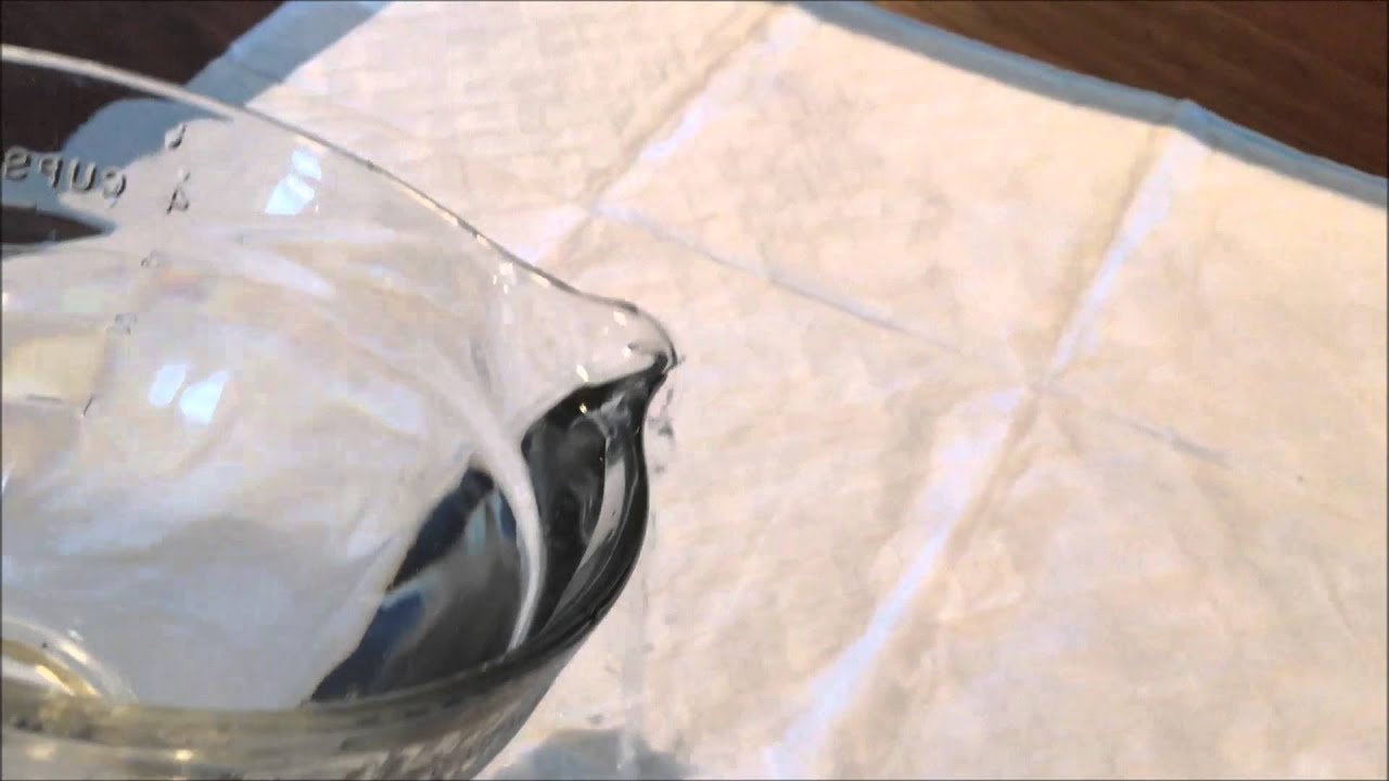 Dollar Tree Puppy Training Pad vs. Top Paw YouTube