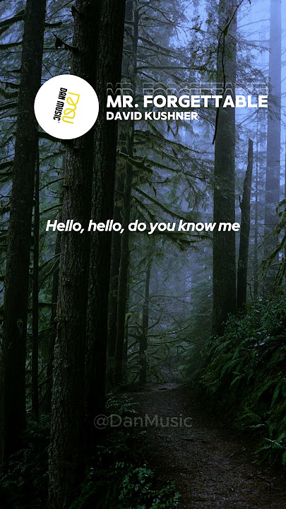David Kushner - Mr. Forgettable #lyrics #songlyrics #lyrics