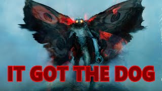 Uncovering The Enigma The Mysterious Mothman