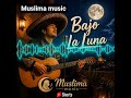 BajoLaLuna #MuslimaMusic #LatinMusic #RomanticSong #MoonlightVibes #AcousticMusic #SpanishStyle