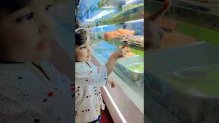 Uncle Sari Sweets Pack Kardo