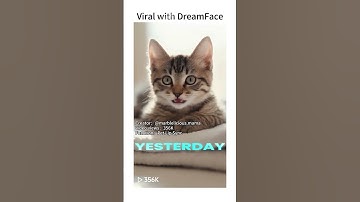 Create your own pet talking video with DreamFace today #DreamFace #catlipsync #cat #catlover #fyp