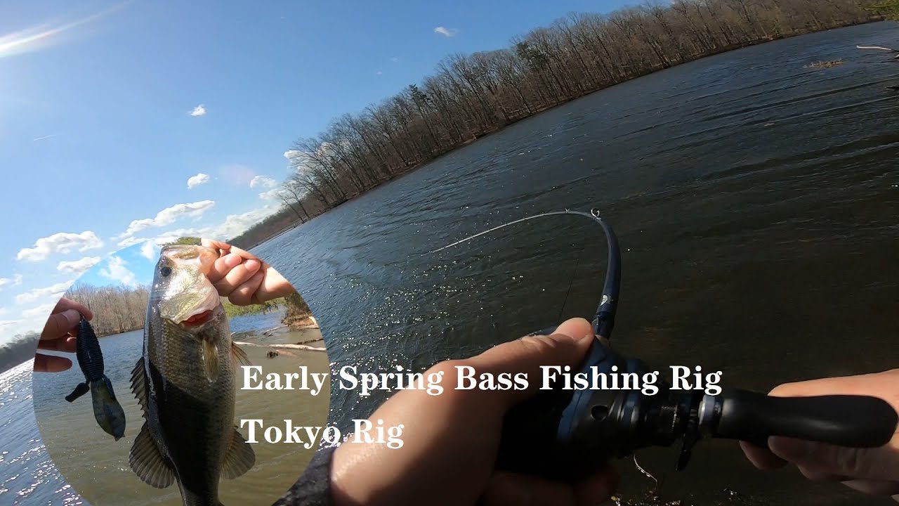 Early Spring Bass Fishing Rig: Tokyo Rig - YouTube