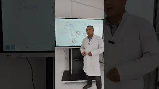 Иммунитет.   Часть 2