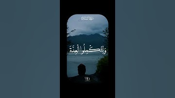 سورة ( البقرة ) ❤️❤️