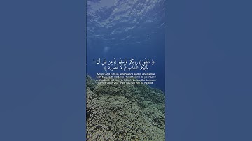 تلاوة خاشعة | القرآن يريح القلب (الزمر 53-54)