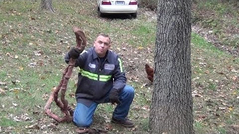 Using A Snatch Block On A Tree To Recover A Wrecked Car