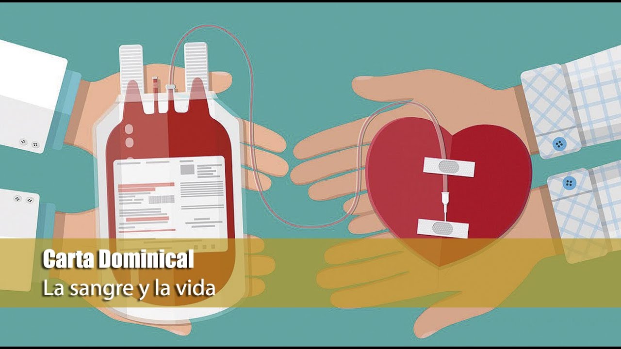 erección donación de sangre erección donación de sangre