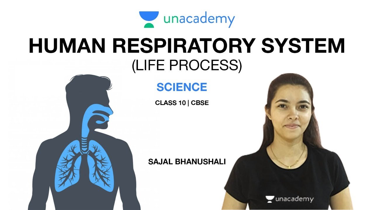 Human Respiratory System (Life Processes) | Science | Class 10 | CBSE ...