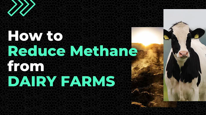 How to reduce methane emissions from dairy farms