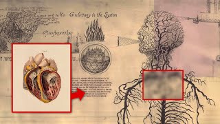 screenshot of the youtube video