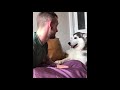 Funny Cats and Dogs