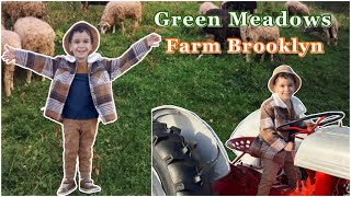 Green Meadows Farm Booklyn