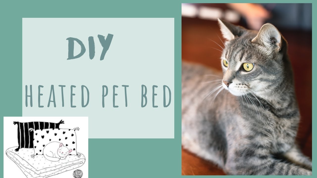 Making my Cats a Heated Bed for Winter YouTube