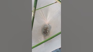 visit channel for making video #shorts #m4tech #science #ebulljet #trending #viral #diy #project