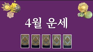 [타로카드] 4월 운세 (4월에 있을 좋은 소식 궁금하다면 카드를 선택해 보세요.)