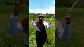 Cerita Rakyat Ntt  Asal Mula Padi Versi Lio Oleh Mariano Yos Emanuel Koato smpk Alvares Paga