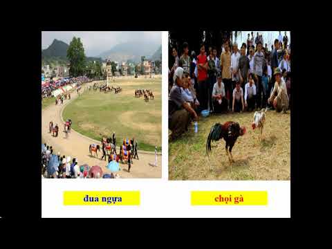 Luyện từ và Câu 3: Từ ngữ về lễ hội - Dấu phẩy (Thứ năm , ngày 23/4/2020) - Tuần 26
