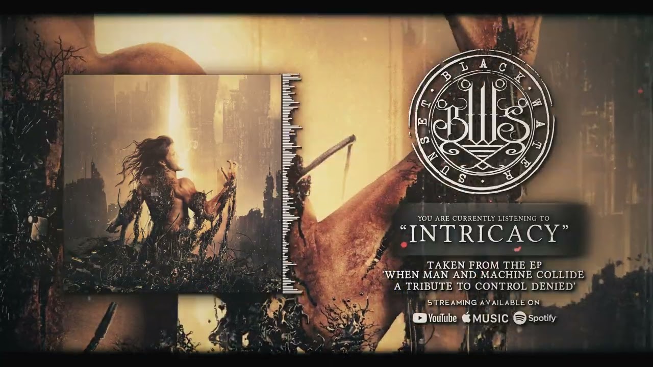 Watch Intricacy (Black Water Sunset - Control Denied Tribute/Cover 2024) on YouTube Watch Intricacy (Black Water Sunset - Control Denied Tribute/Cover 2024) on YouTube